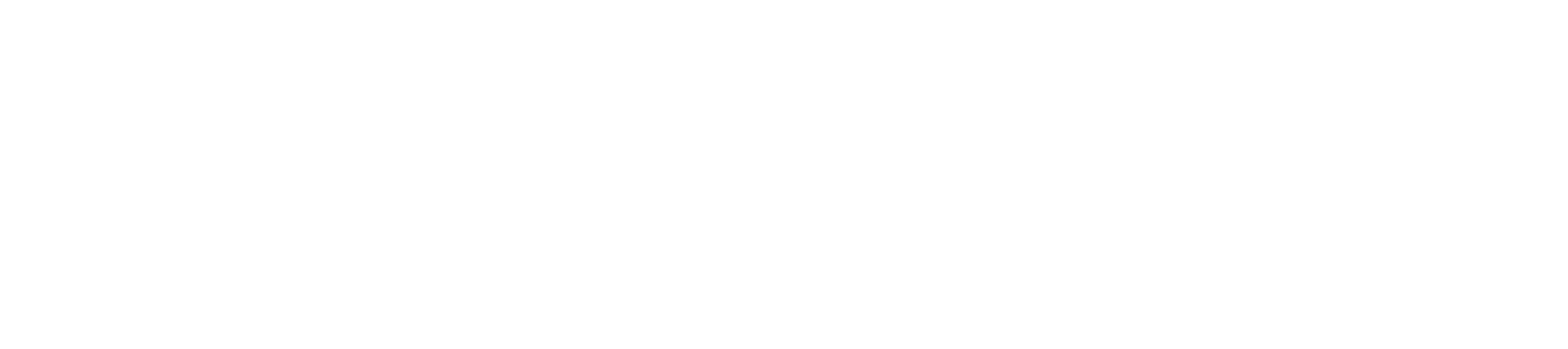 Co-funded by the EU